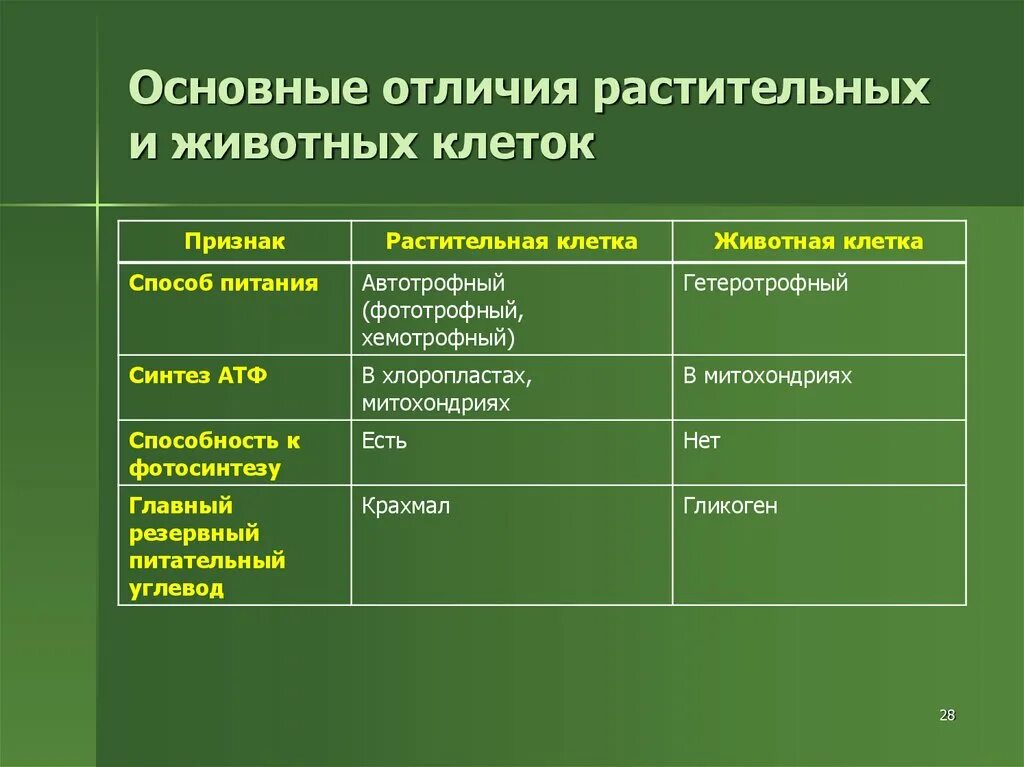 Черты различия клеток. Различие клетки животных и клетки растений. Отличие растительной клетки от животной клетки. Отличия растительной и животной клетки 5 класс биология. Отличие строения животной клетки от растительной.