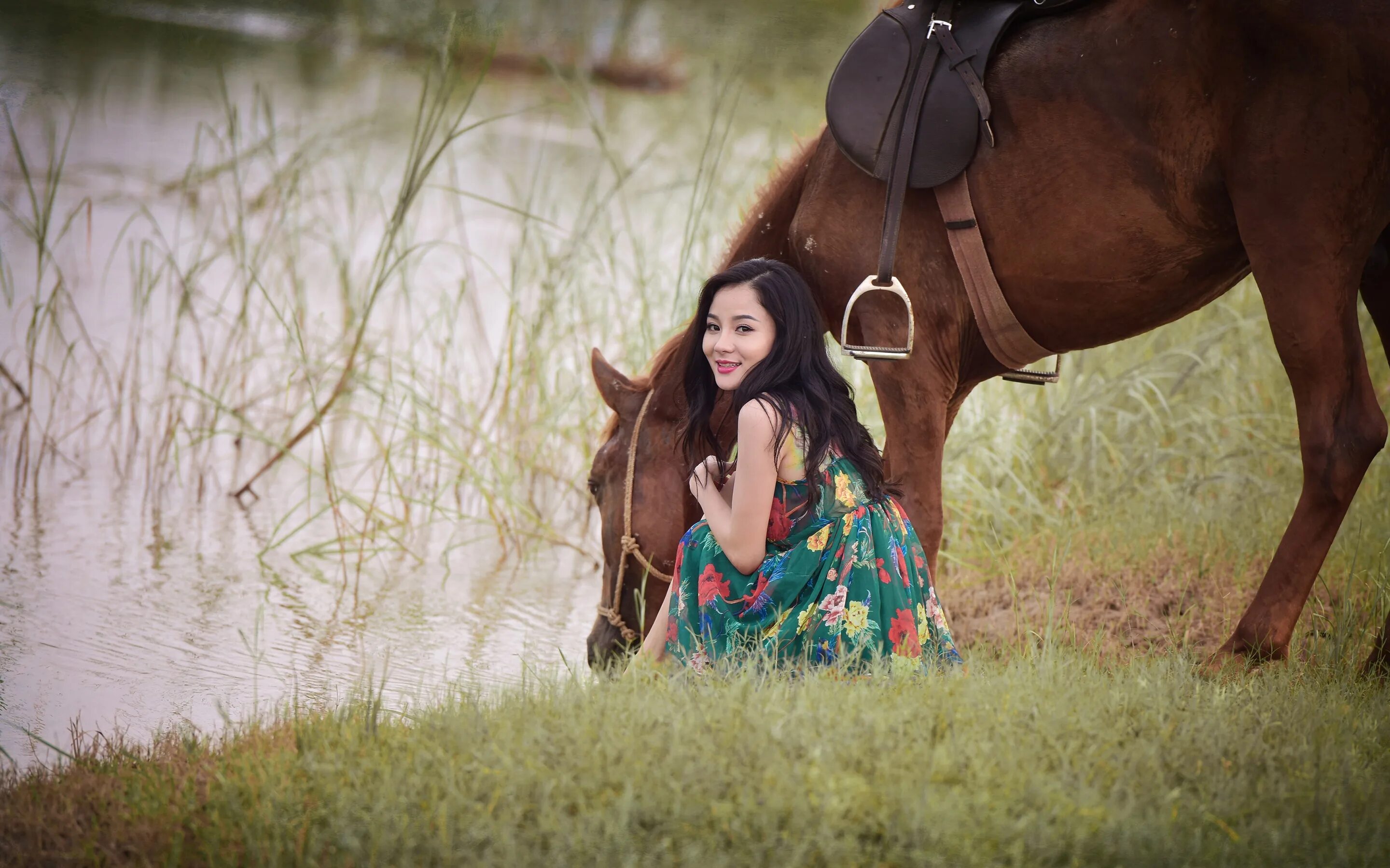 Девушка с лошадью. Лошадки для девочек. Фотосессия с лошадьми. Девочка на лошади. Девушка с лошадью.