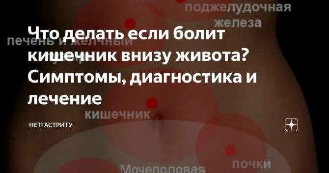После Секса Болит Живот Что Может Быть