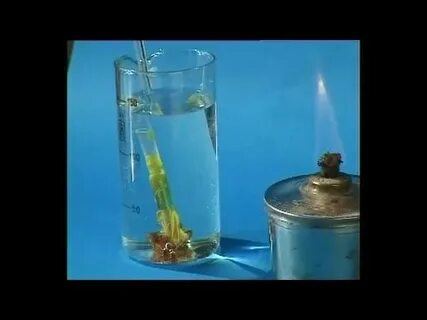 Эксперимент 38