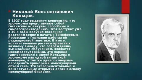 Выдвинул концепцию