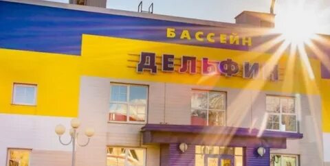 Дельфин кировск