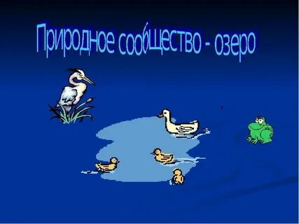 Сообщество озеро