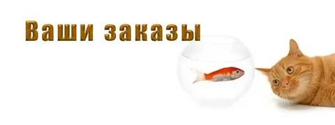 Твои заказы