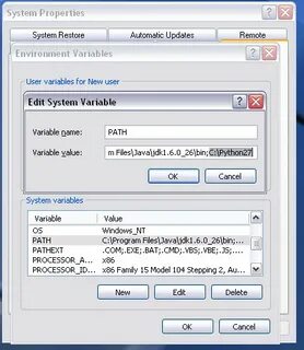 Python set environment variable