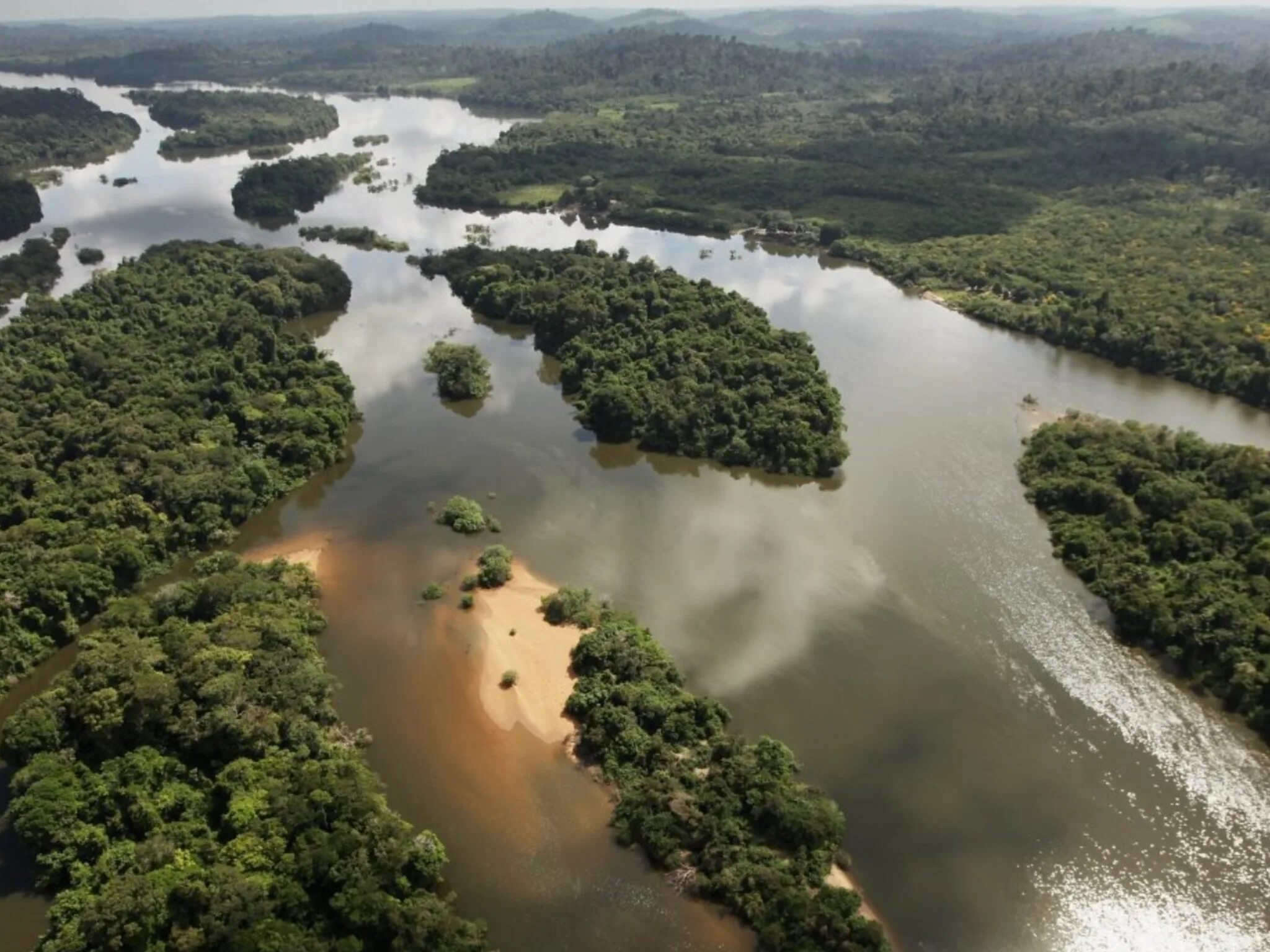 The Amazon Forest was a massive experiment that got out of hand 8,000 years ago 