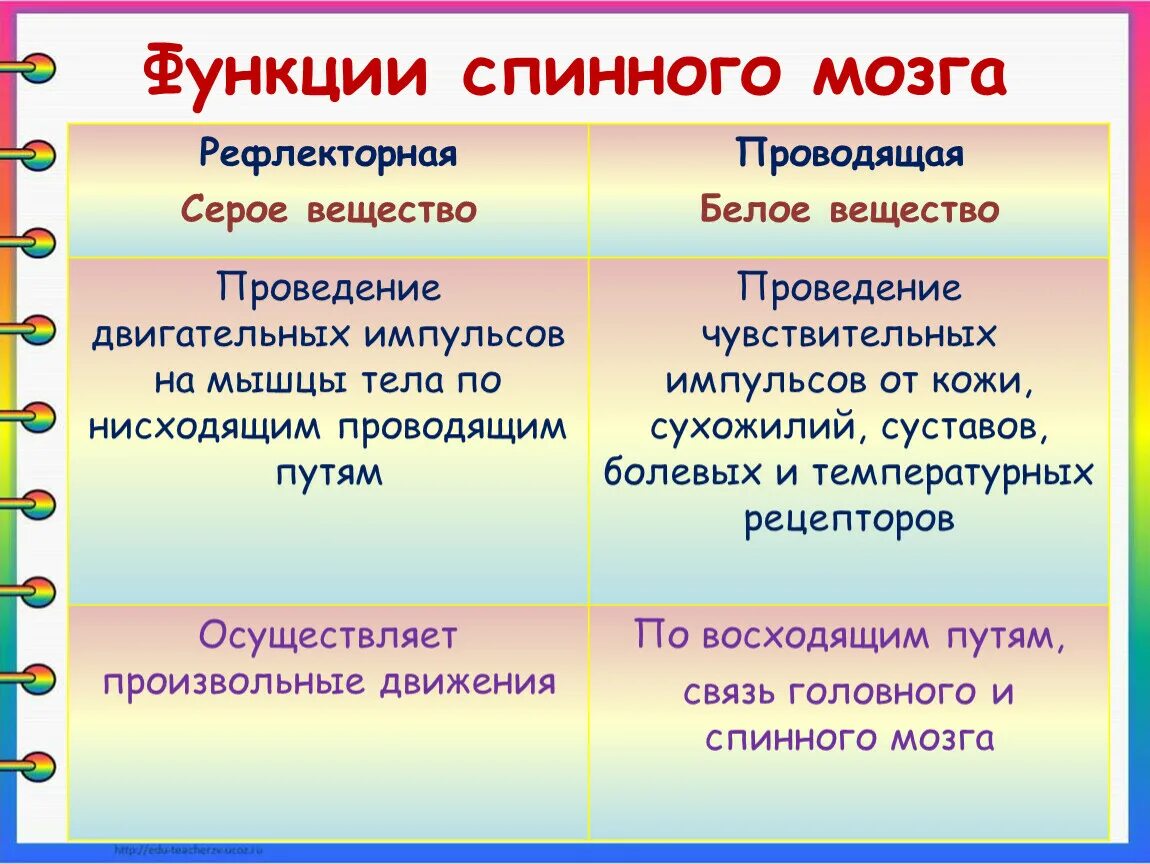 Рефлекторная и проводниковая функции спинного мозга. Рефлекторная и Проводящая функции спинного мозга. Рефлекторная и Проводящая функции спинного. Рефлекторная функция спинного мозга. Вещество спинного мозга выполняющие проводниковую функцию