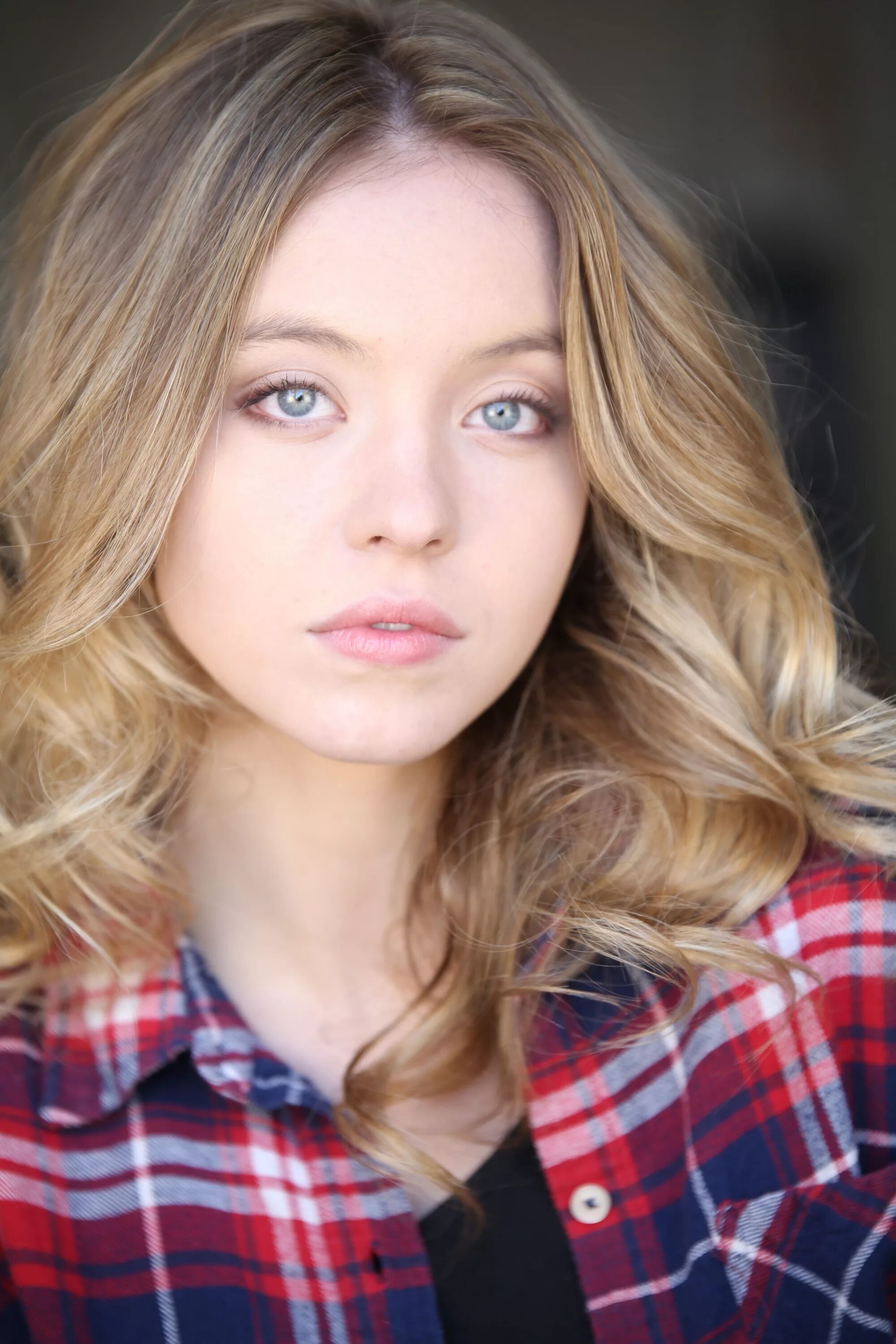 сидни свиней. Sydney sweeney. сидни свиней. сидни свини. сидни свини.