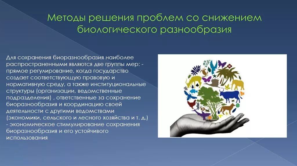 Сохранение биологического многообразия. Сообщение на тему пути сохранения биологического разнообразия. Сокращение видового разнообразия причины. Причины сохранения биоразнообразия. Проблема сохранения биологического разнообразия.