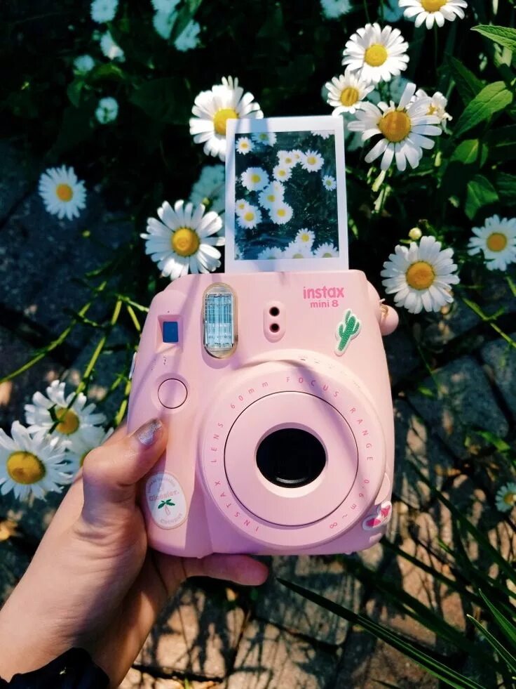 Инста полароид. Полароид инстакс. polaroid фотоаппарат instax. полароид instax mini. инстакс 12.