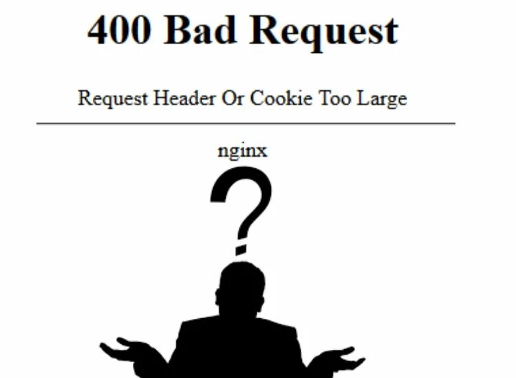Header or cookie too large