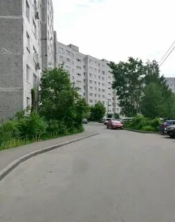 Хозяева в орехово зуево