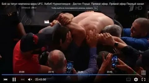 Кто победит хабиба
