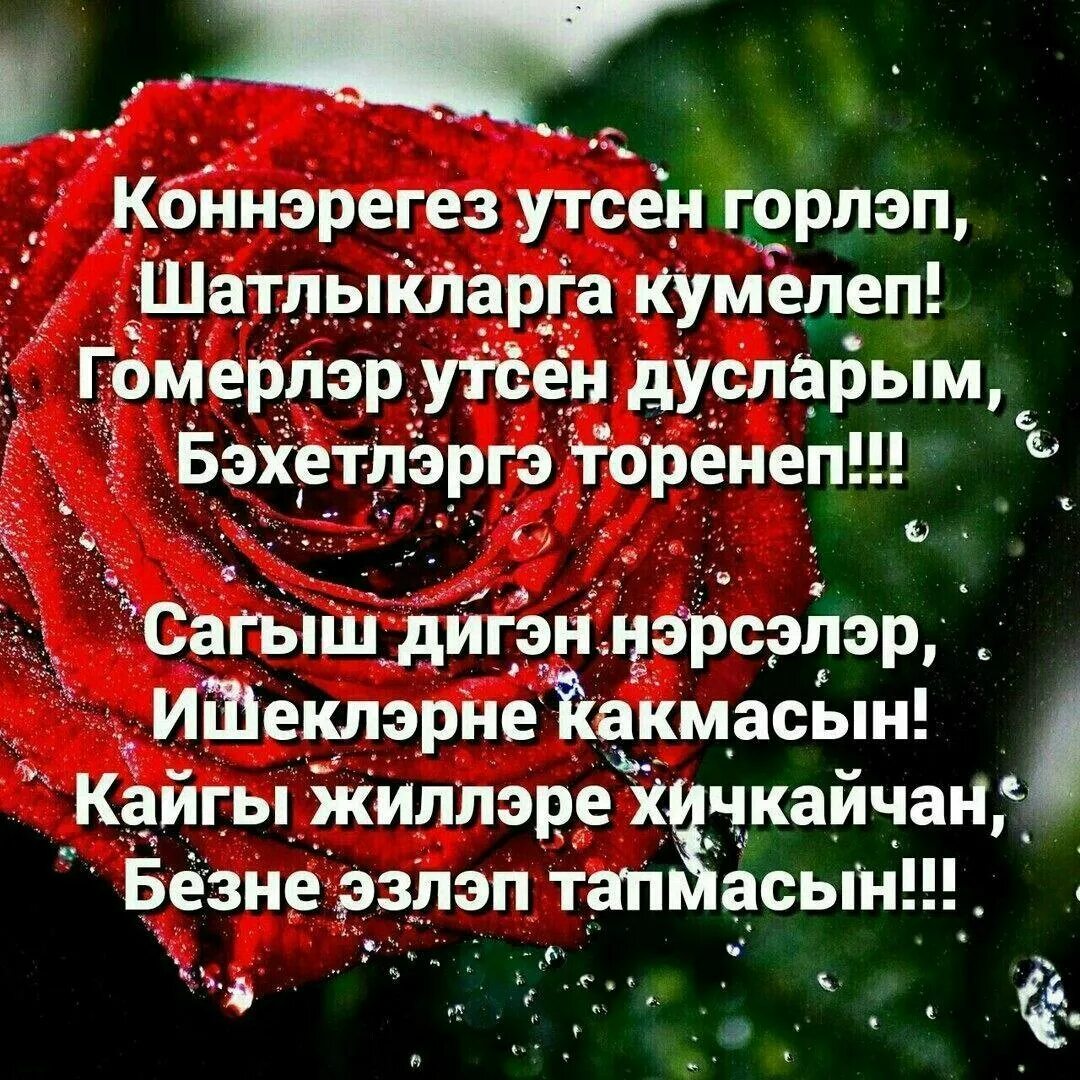Студентлар белэн очрашу сценарий татарча. С днём рождения на татарском языке. Студентлар. Студентлар белэн очрашу сценарий татарча. Студентлар белэн очрашу сценарий татарча.