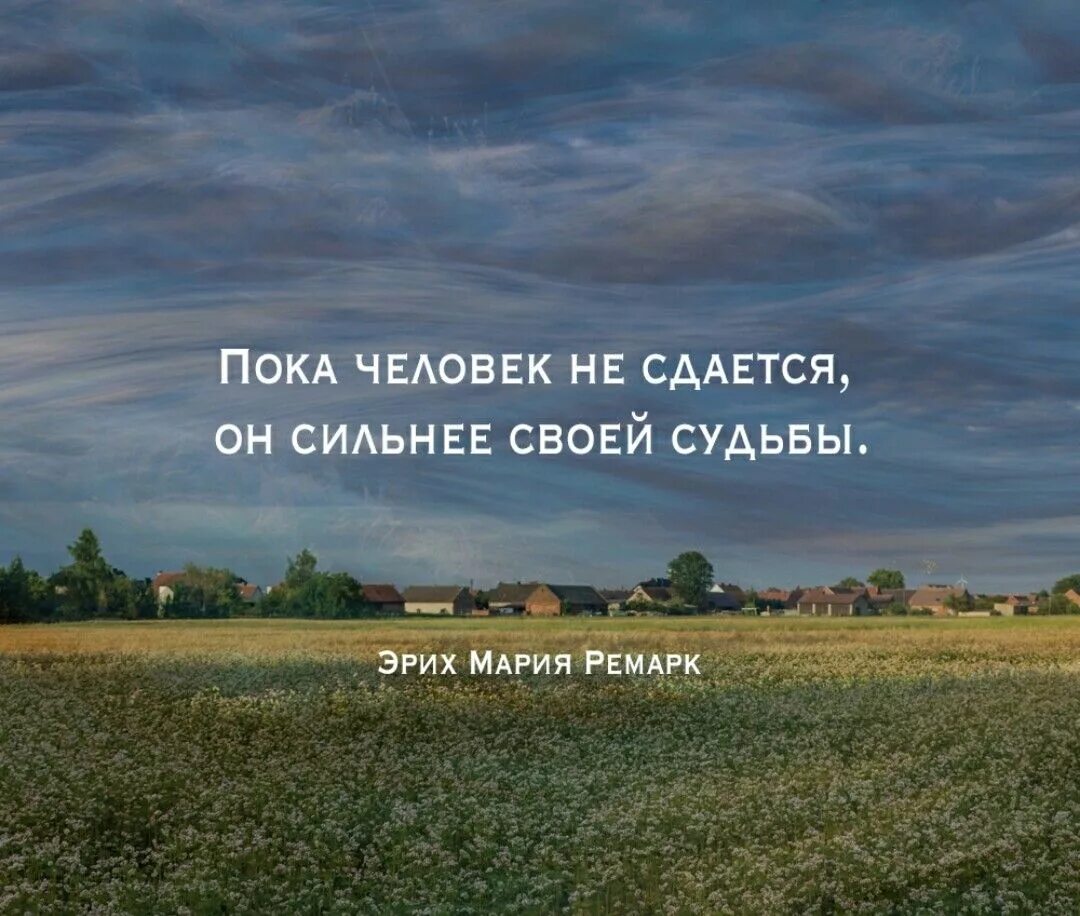 Надеяться сдать. Человек сильнее своей судьбы. Пока человек не сдается он сильнее своей судьбы. Пока человек не сдаётся, он сильнее своей судьбы. Эрих Ремарк.