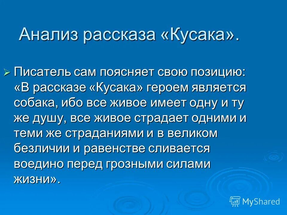 Н андреева кусака. Кусака. Л н андреев кусака краткое содержание. Произведение о взаимоотношении человека и животного. Что хотел напомнить автор кусака 5 класс.