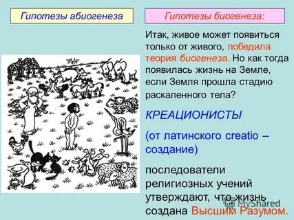 Теория биогенеза объясняет возникновение жизни на земле