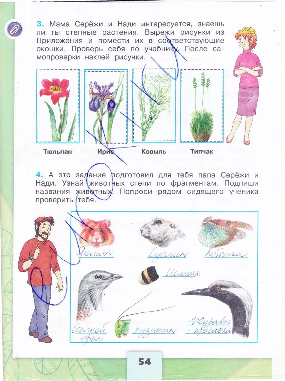Окружающий мир 4 класс рабочая тетрадь стр 54. Окружающий мир 4 класс 1 часть рабочая тетрадь Плешаков с. 54. Окружающий мир 4 класс рабочая тетрадь 1 часть стр 54 номер 2. Окружающий мир 1 класс 1 часть Плешаков тетрадь стр 54. Папа сережи и нади подготовил к уроку