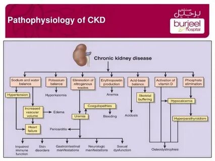 Chronic kidney disease