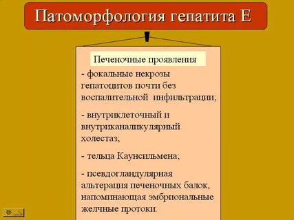 Вирусные гепатиты дипломная работа