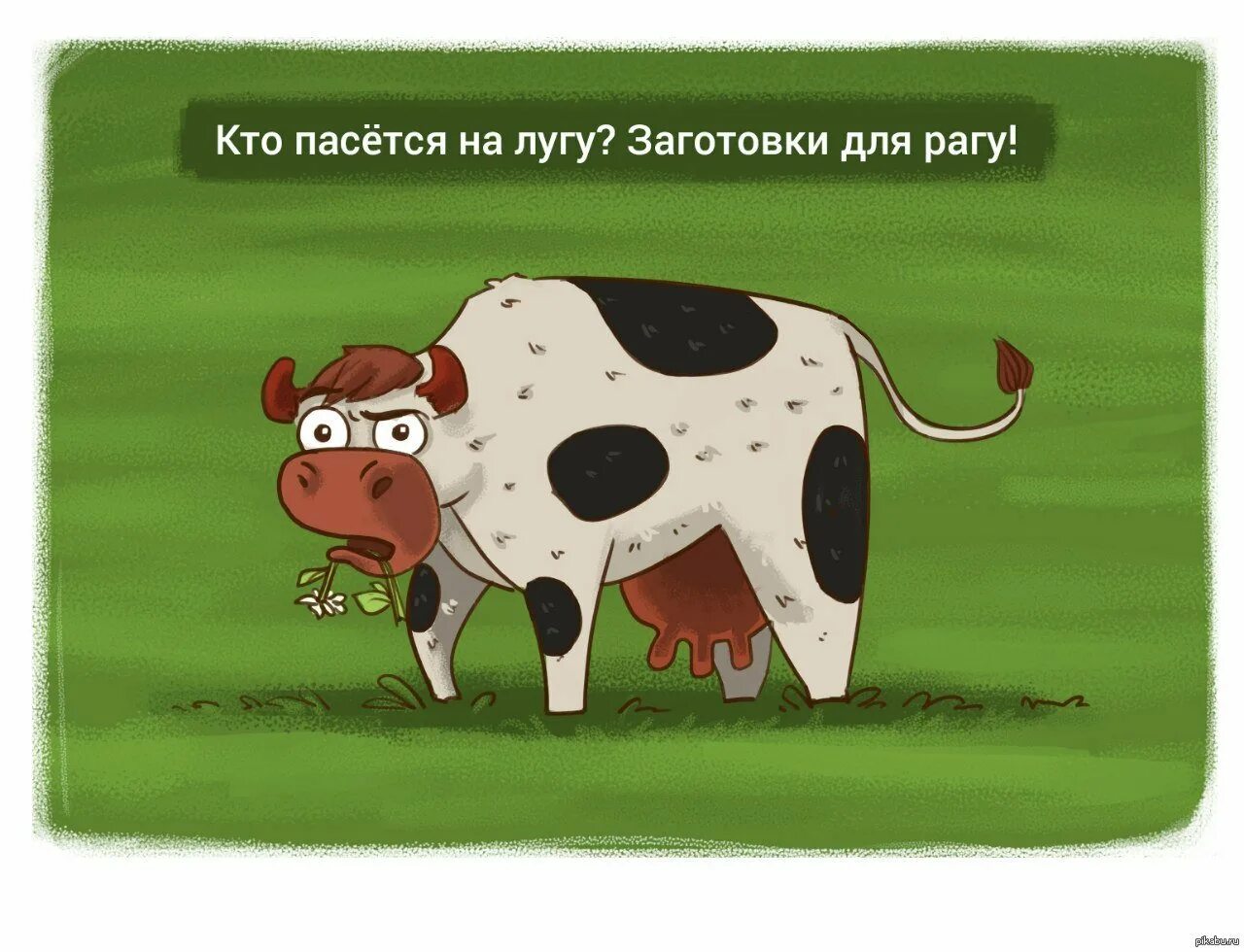 Прикол про корову. Корова юмор. шутки про коров. корова прикол. веселая корова..