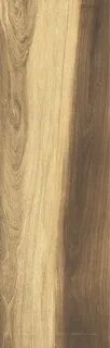 Brown 18