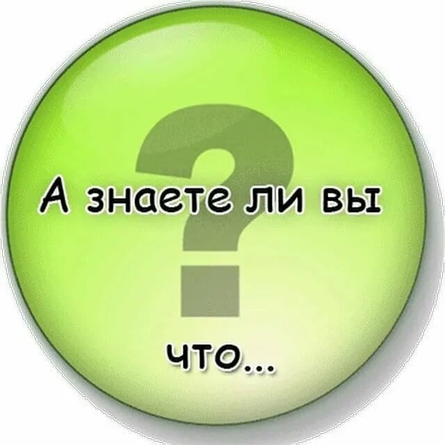 Знаете ли вы что такое литнет