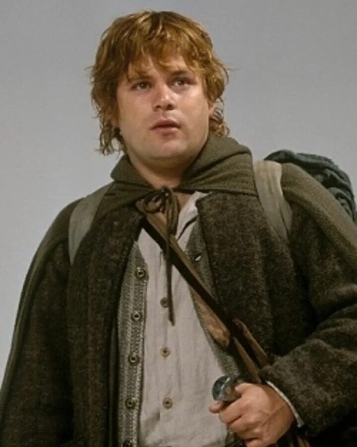 Сэм гэмджи. Сэм хоббит. Сэмуайз гэмджи актер. Шон эстин властелин колец. Сэм гэмджи.