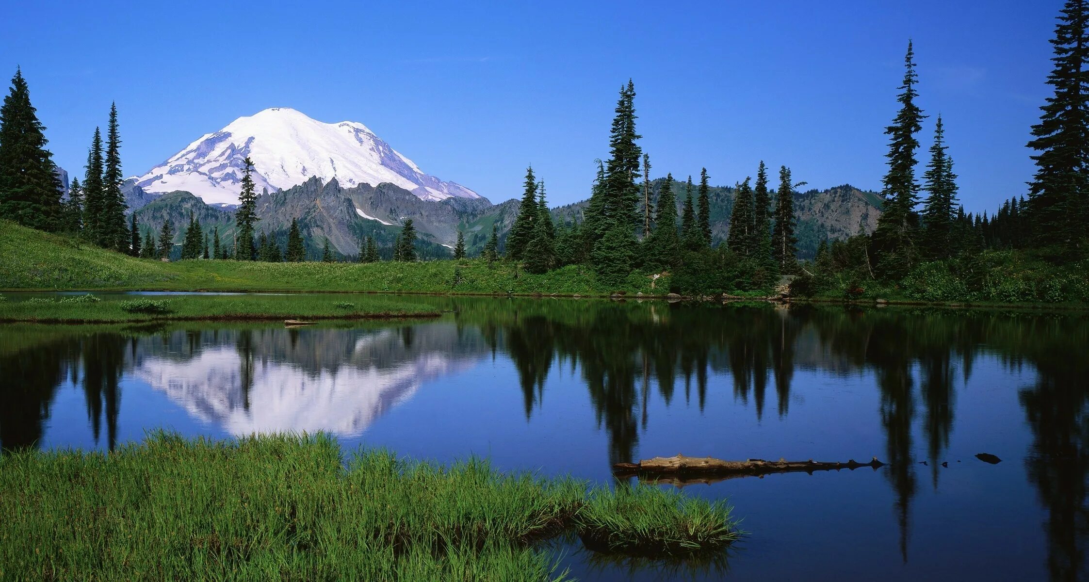 Найти картинку природу. Mount Rainier National Park гора.. Панорама природа. Панорамный пейзаж. Красивый пейзаж.