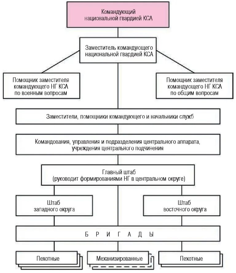 Кто входит в росгвардию. Структура национальной гвардии России схема. Структура войск национальной гвардии Российской Федерации схема. Структура Федеральной службы войск национальной гвардии. Схеме структуру Федеральной службы войск национальной гвардии.