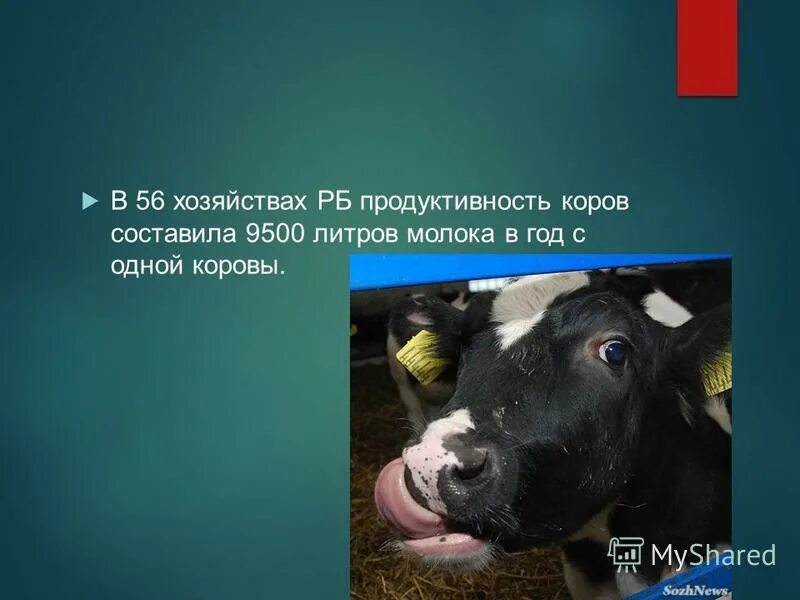 Продуктивное хозяйство