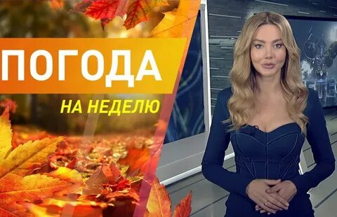 Метеогид