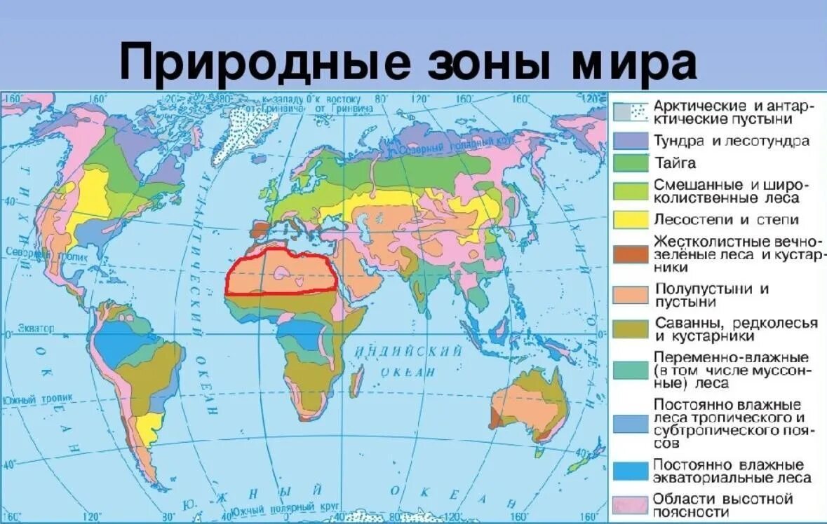 Евразия по отношению к тропикам. Природные зоны земли карта.