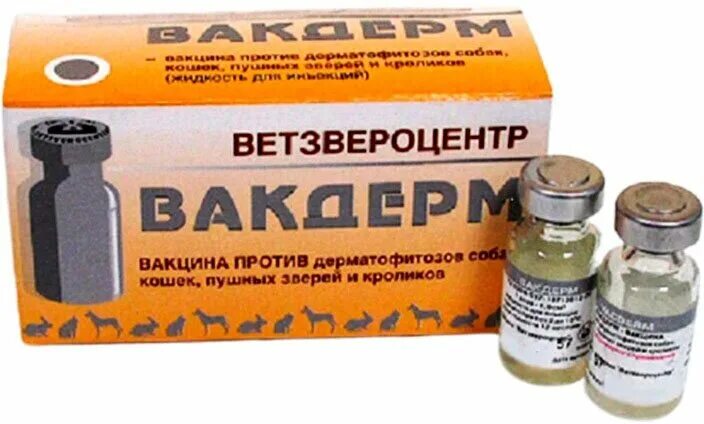 Есть прививка от лишая. Вакцина для коров лтф 130. Уколы от лишая для кошек вакдерм. Вакдерм вакцина для котят. Вакцина вакдерм.