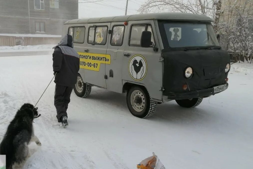 Автомобиль службы отлова собак. Приспособление для отлова собак.