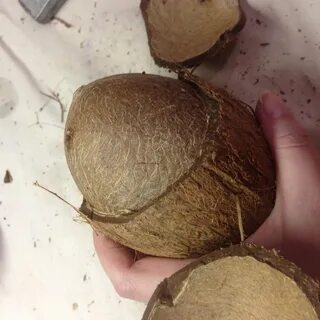 Кожуру кокоса едят