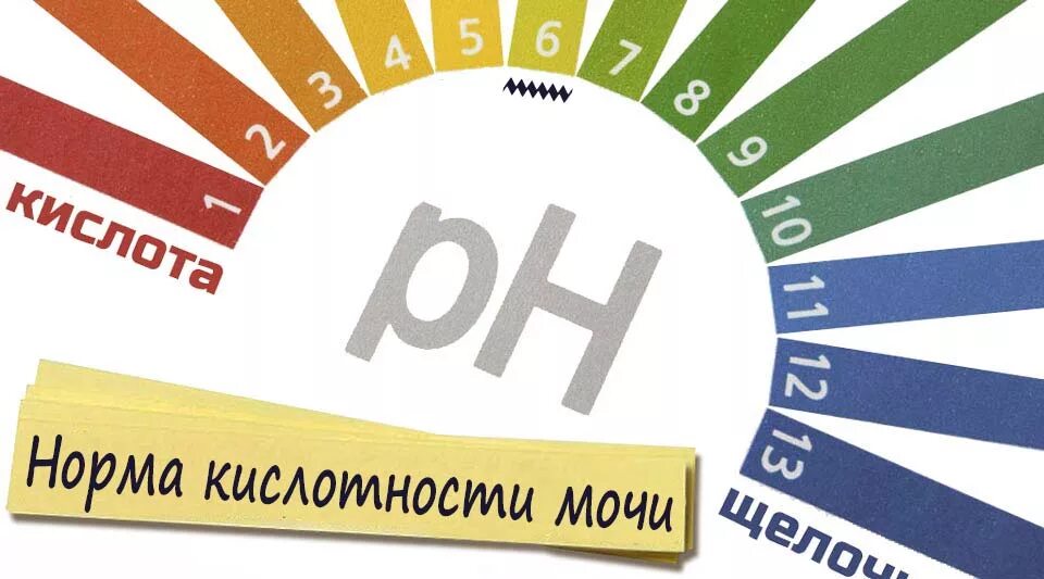 Нормальный ph мочи. Ph мочи. ph в моче. кислотность мочи. ph мочи норма.