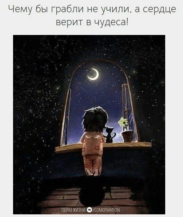 Сердце верующего. Цитаты про чудо. Котики смешные. Сердце верующего. Девушка на качелях.