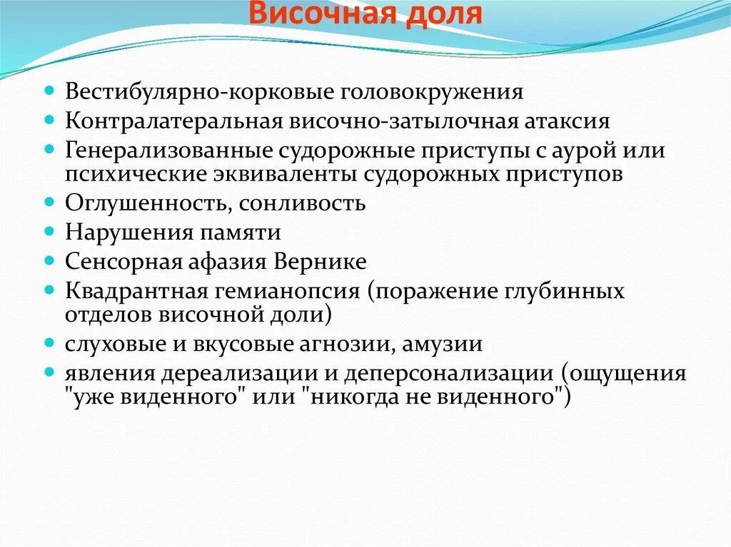 Функции височной доли головного. Функции височной доли головного мозга. Височная функция мозга