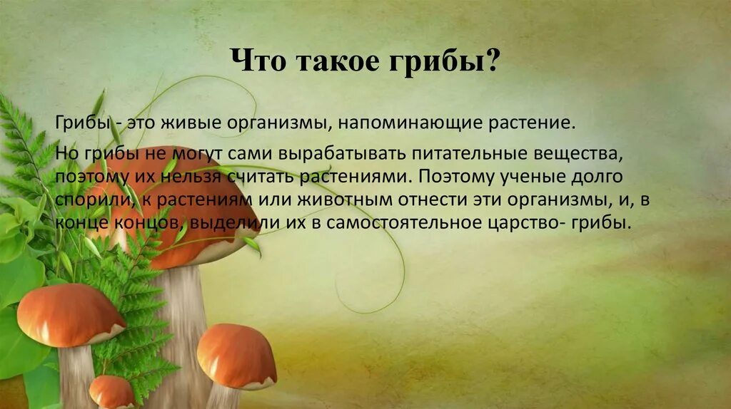 Грибы определение. Грибы презентация. Грибы презентация для детей. Слайд на тему грибы.