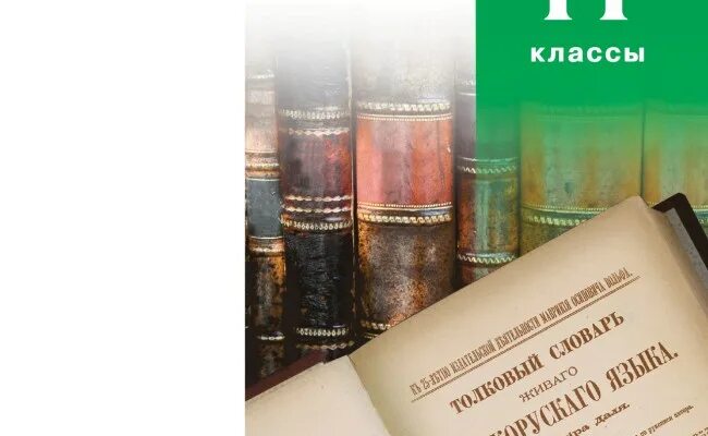 Русский язык и литература 10 класс бабайцева. В. Русский язык 10 класс углубленный уровень бабайцева. Русский язык 10 класс углубленный уровень бабайцева. Бабайцевой русский язык 10.