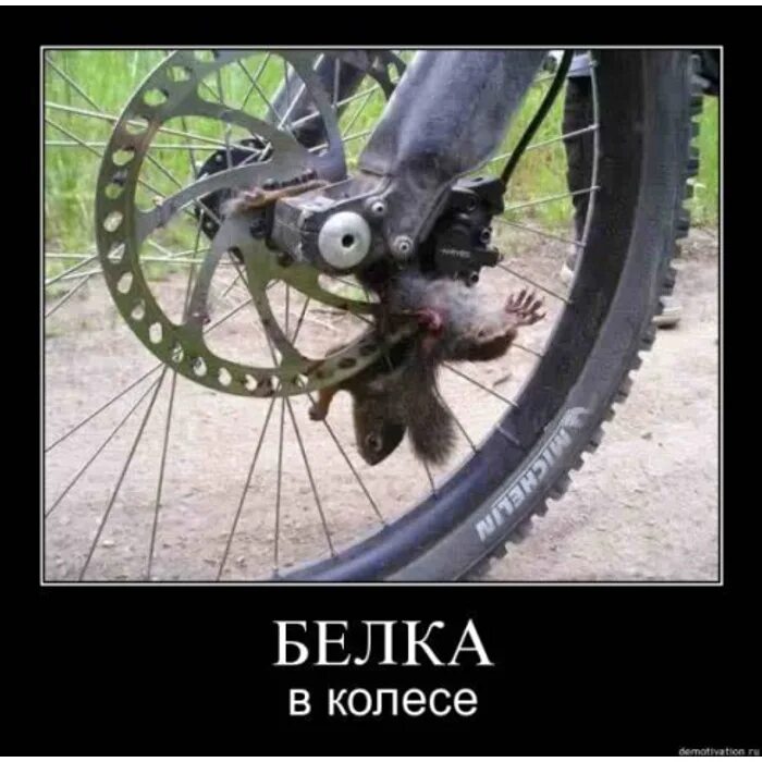 Крутись как хочешь