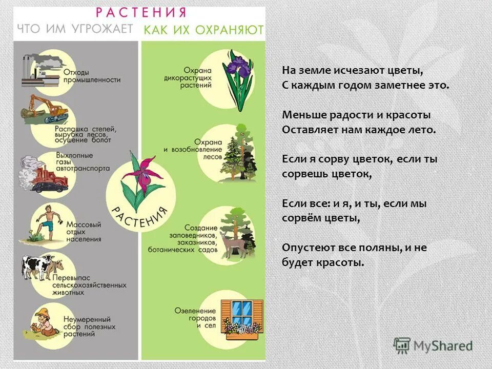 Методы охраны растений. Охрана растений.