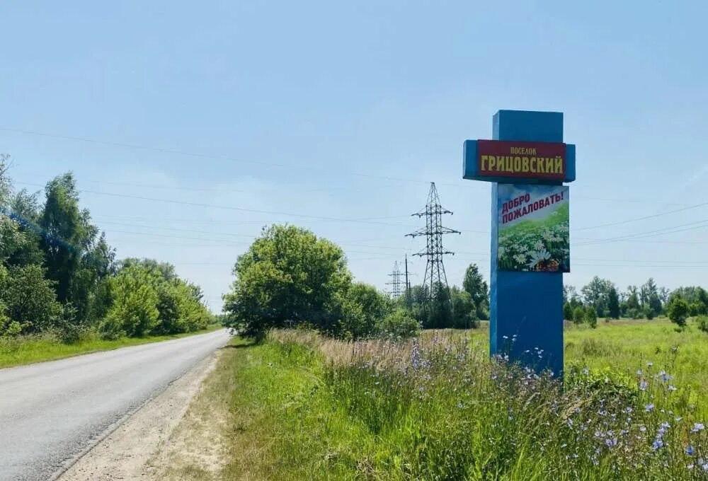 Погода в поселке грицовский