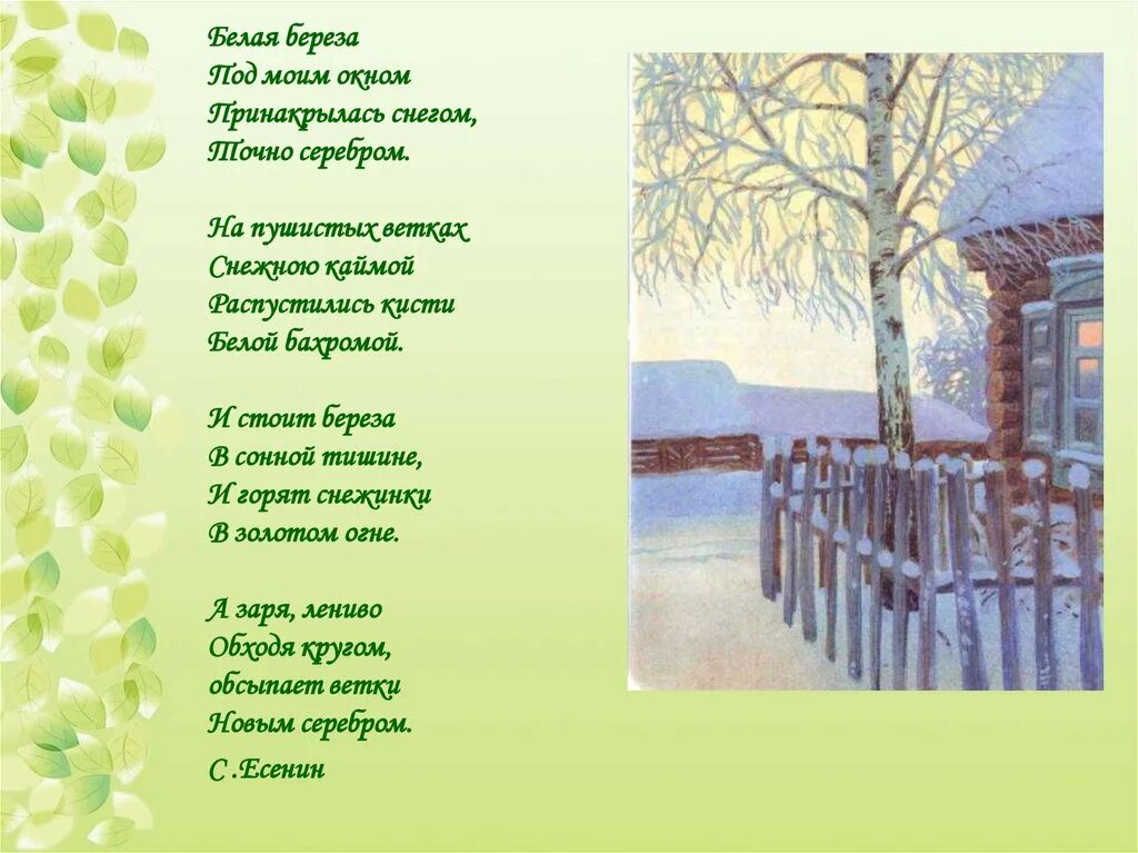 Песня про березы и россию. Стоит берёза под моим окном. Песня про березу. Русские народные песни про березу. Гимн березам.