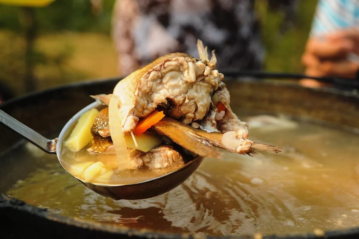 Уха из омуля. Уха минтай. Сагудай байкал. Уха из омуля. Уха из байкальского омуля.