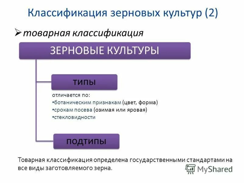 Систематика зерновых культур. Классификация зерна по целевому назначению. Крупа классификация. Классификация зерна по ботаническим признакам. Классификация зерна.