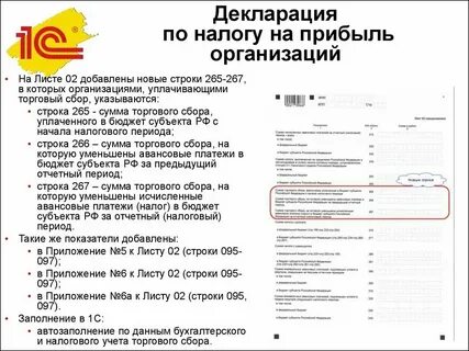 Декларация на прибыль 9 месяцев 2023