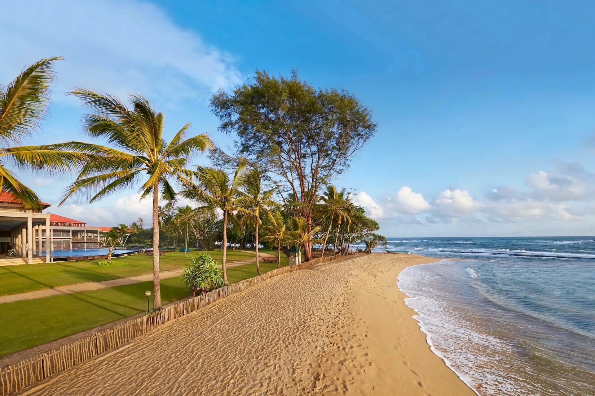 Погода шри ланка апрель 2024. Берувела Шри Ланка. Пляж Берувела Шри Ланка. Отель Синнамон Берувела.
