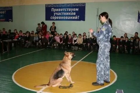 Кинологический колледж спб